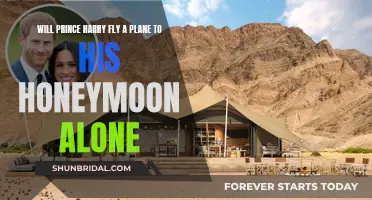 Royal Honeymoon: Prince Harry's Solo Flight?