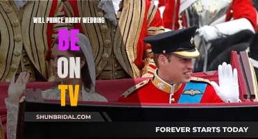 Royal Wedding Watch: Will Prince Harry's Nuptials Be Televised?
