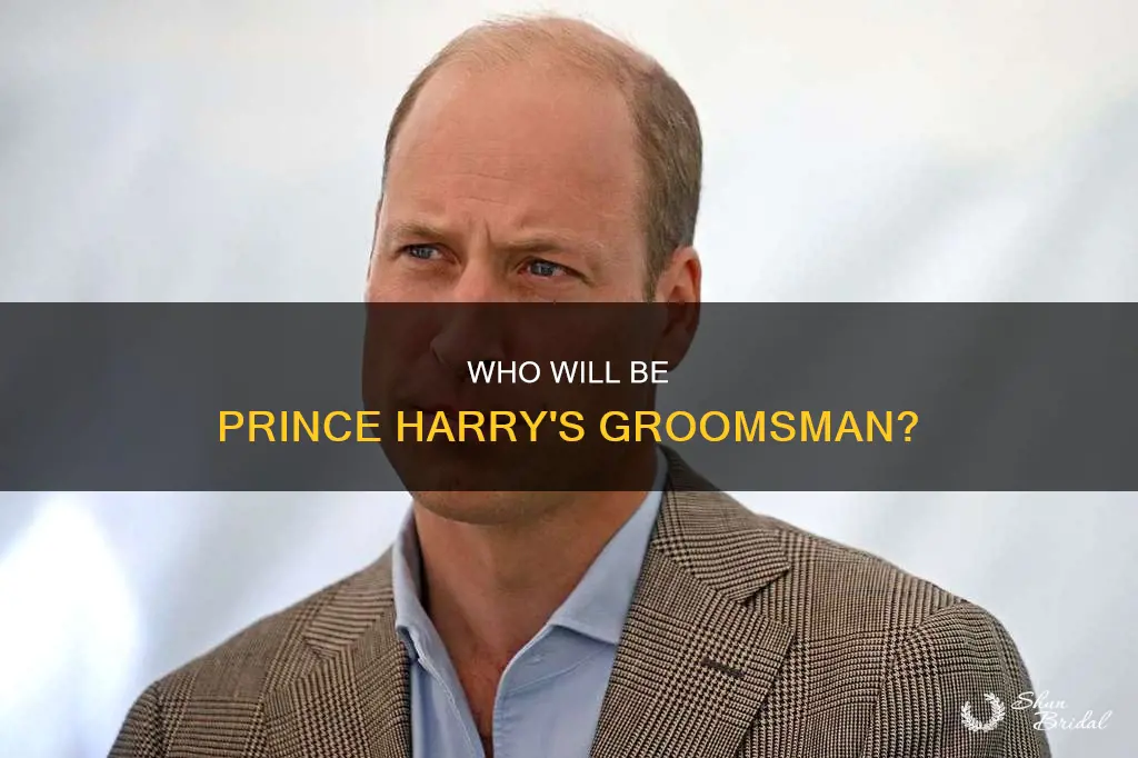 will prince harry