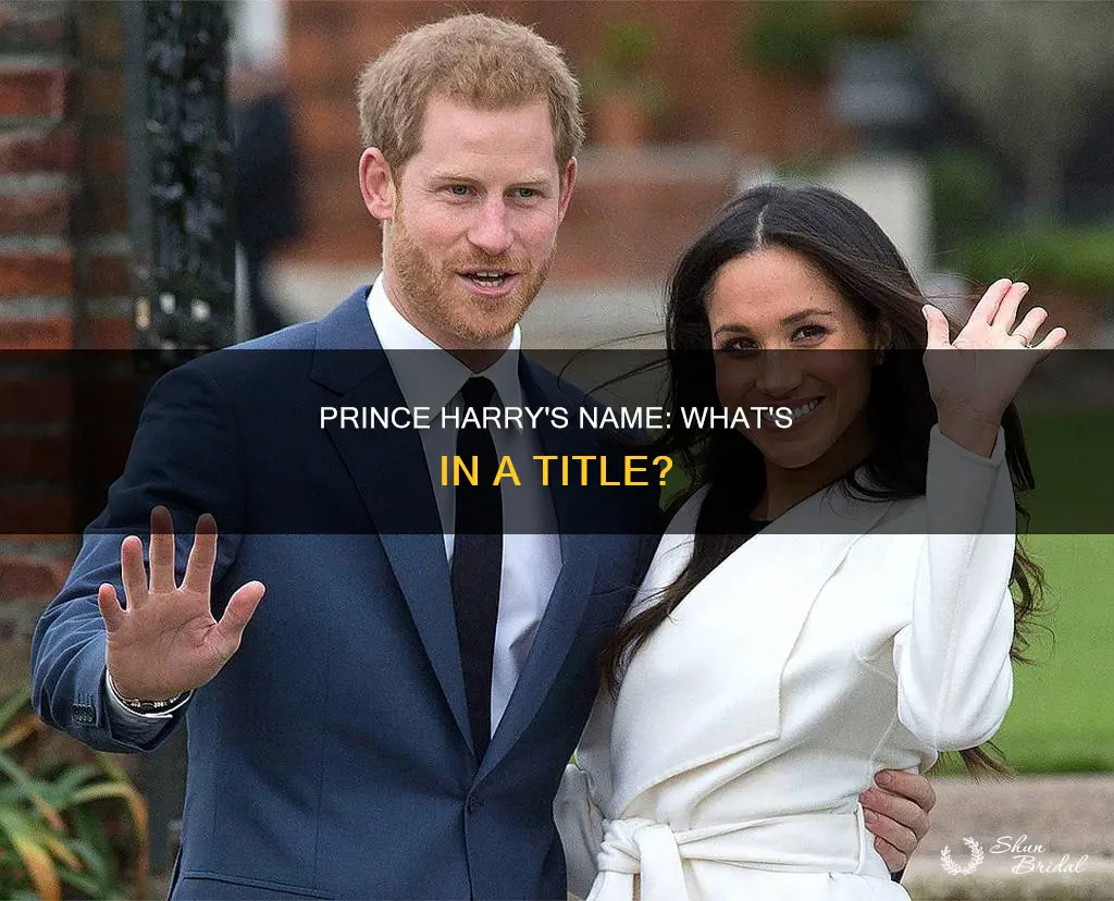 will prince harry