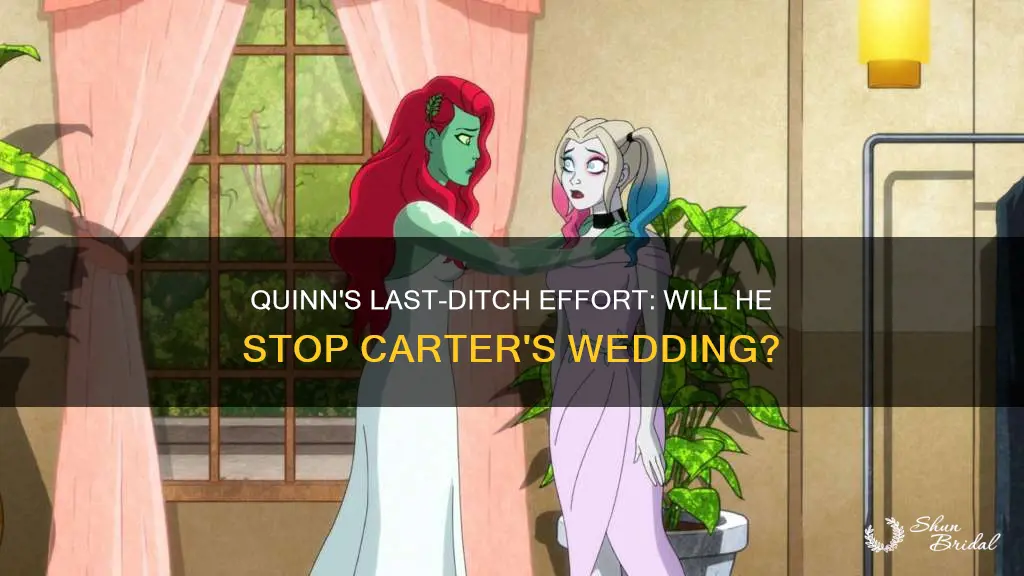 will quinn stop carters wedding