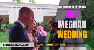 Rerun of Harry and Meghan's Wedding: Will US TV Air It?