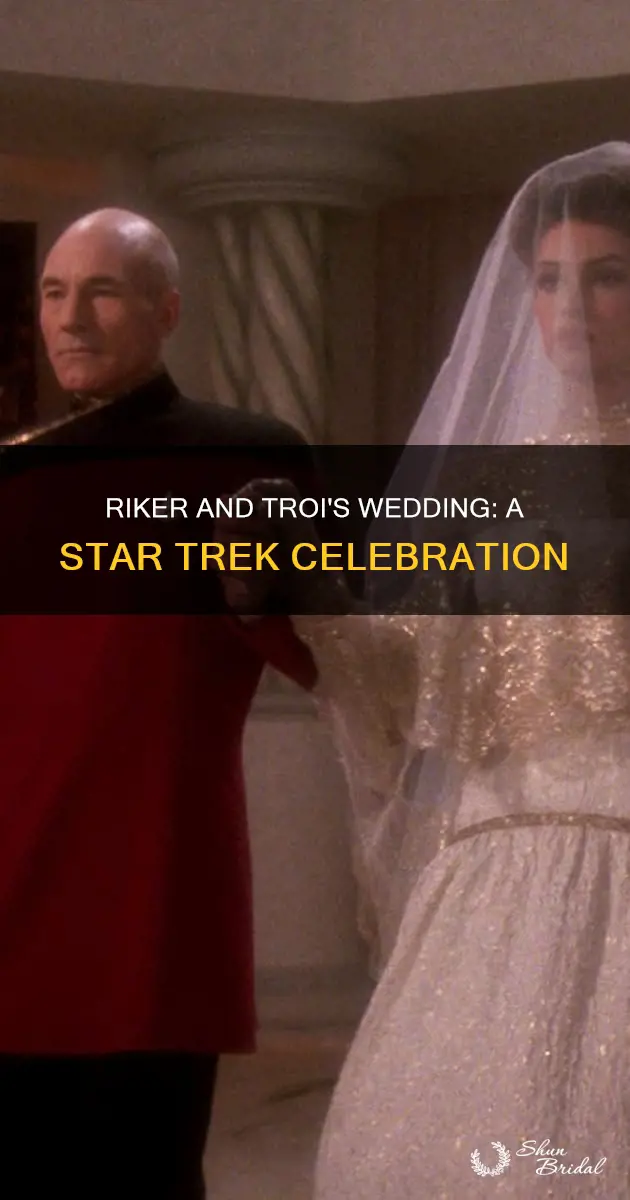 will riker and deanna troi wedding