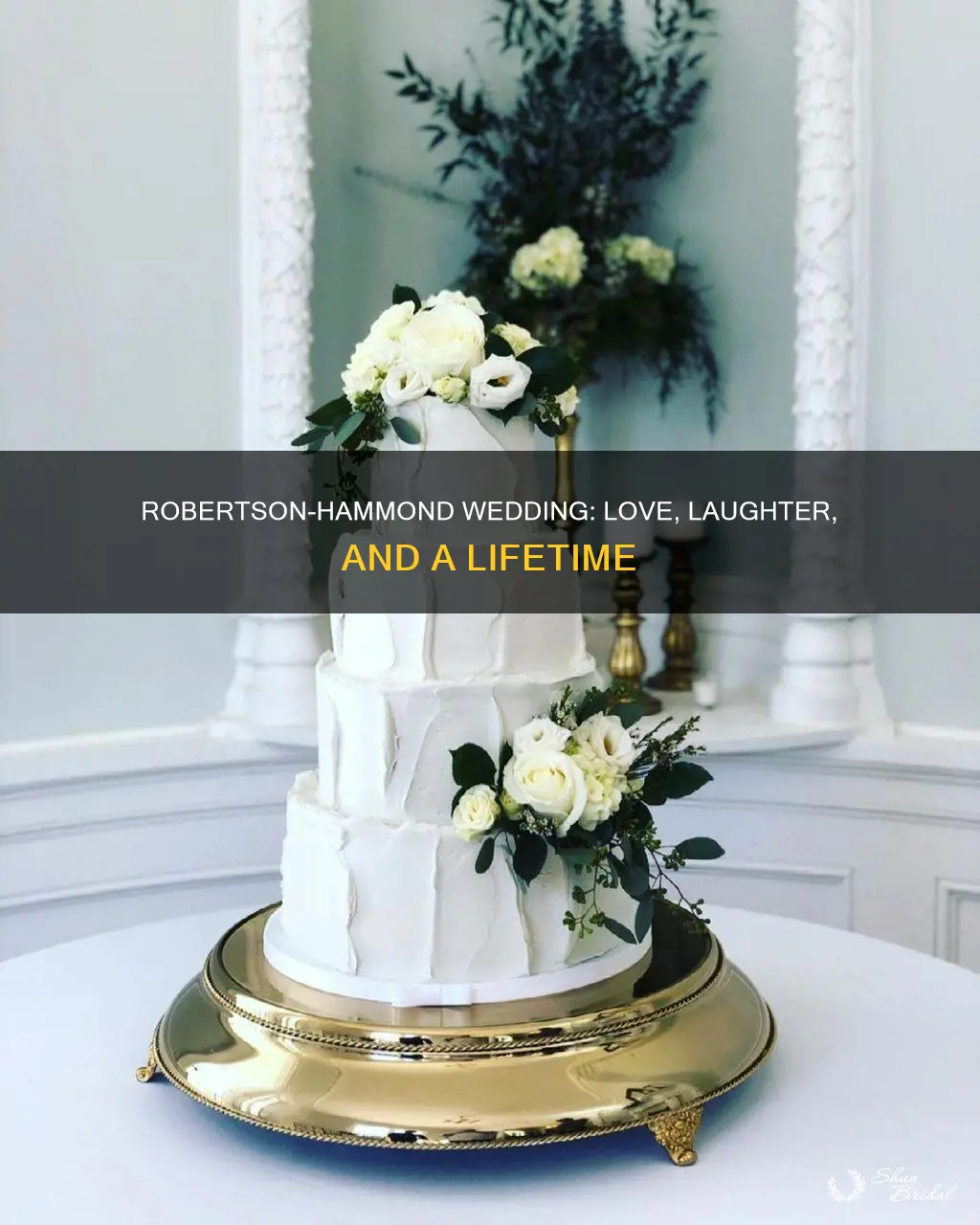 will robertson abby hammond wedding