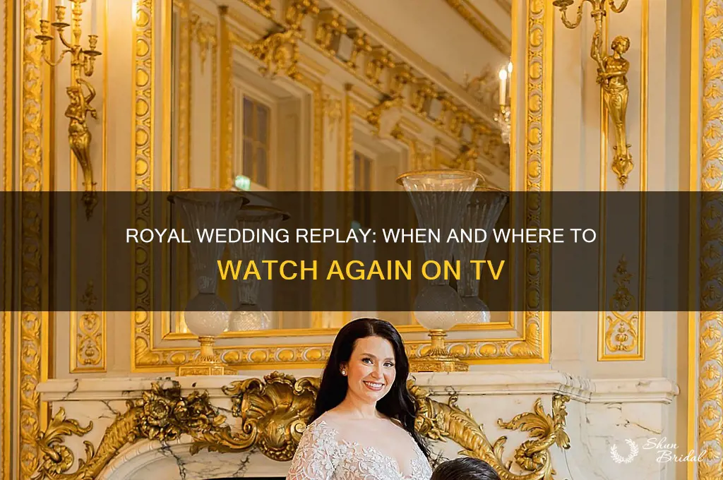will royal wedding be replayed on tv