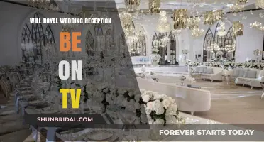Royal Wedding Reception: Will TV Viewers Get a Glimpse?