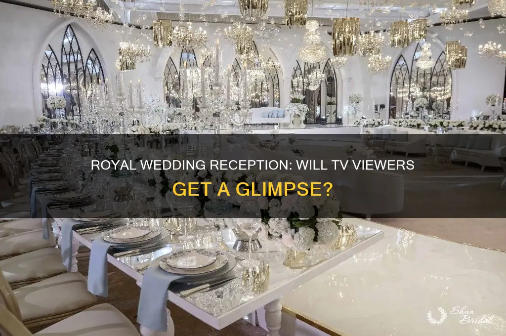 will royal wedding reception be on tv