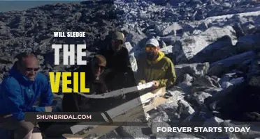 Will Sledge Lift the Veil on Hidden Truths and Secrets?