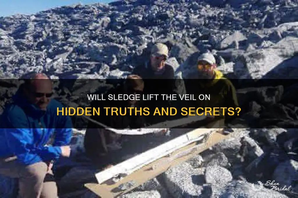 will sledge the veil
