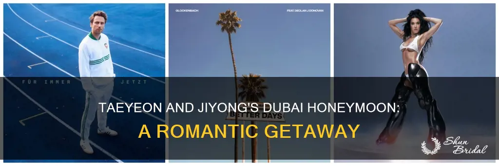 will taeyeon and jiyong go to dubai for honeymoon