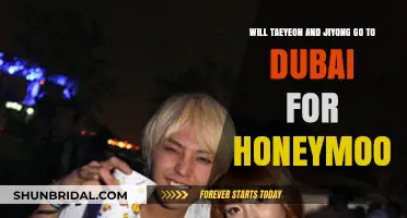 Taeyeon and Jiyong's Honeymoon Destination: Dubai Speculations Explored