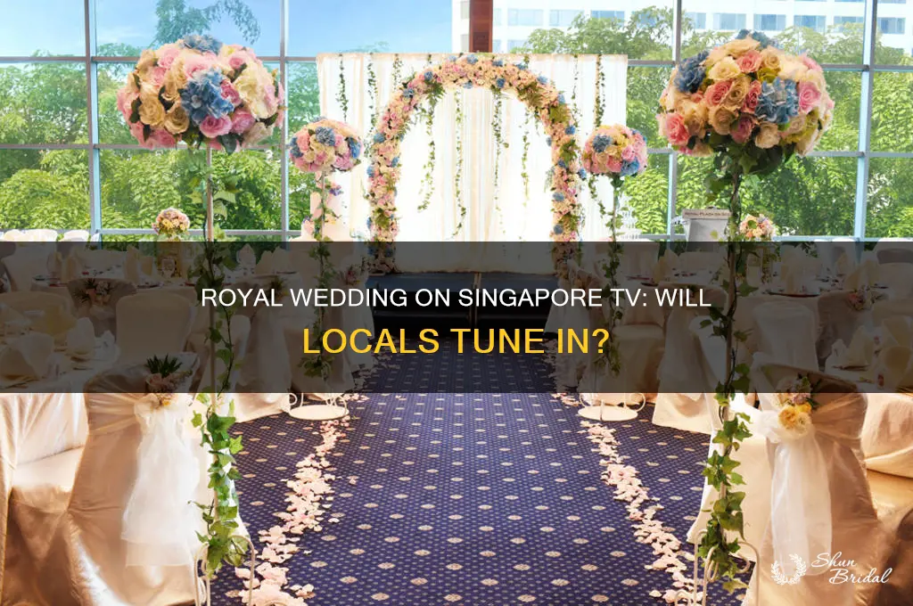 will teh royal wedding be shown on singapore tv