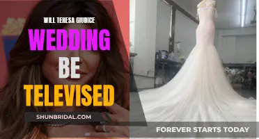 Teresa Giudice's Wedding: Televised or Not?