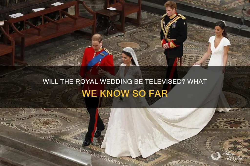 will the royal wedding be telivised