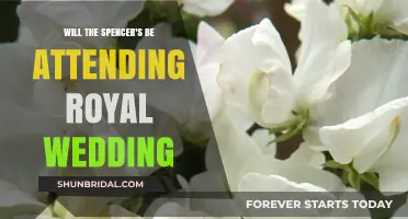 Will the Spencer Family Attend the Royal Wedding?