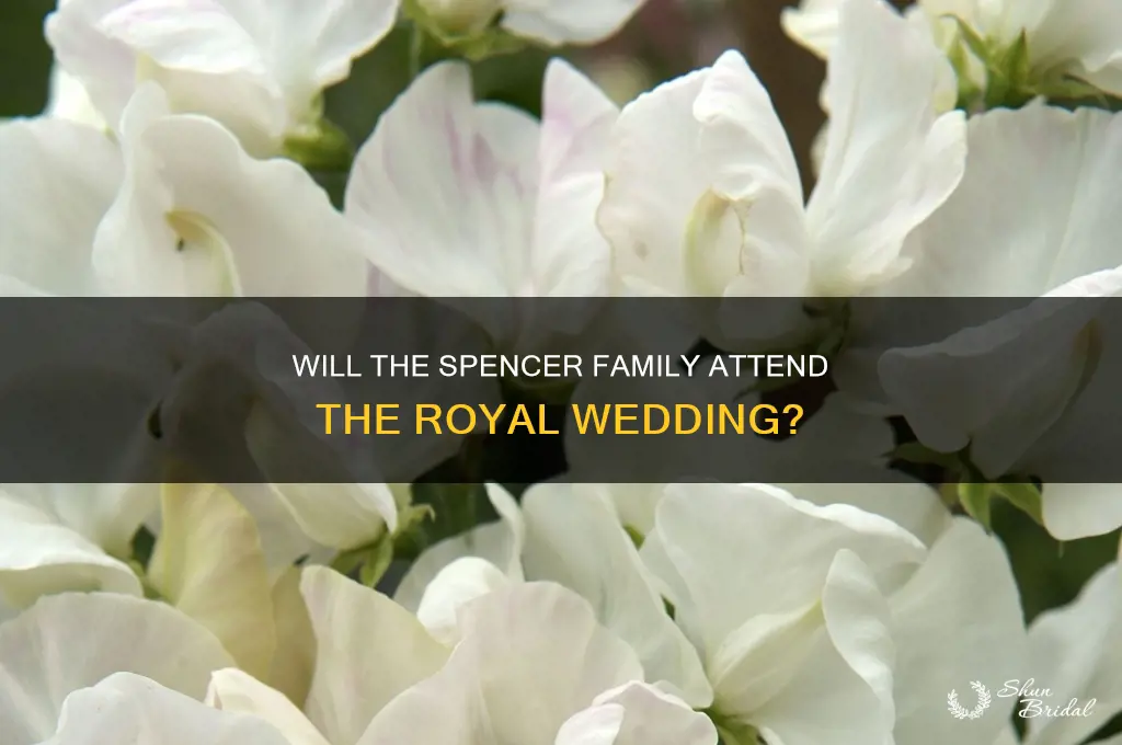 will the spencer