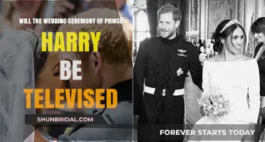 Prince Harry's Wedding: Will the Royal Ceremony Air on TV?