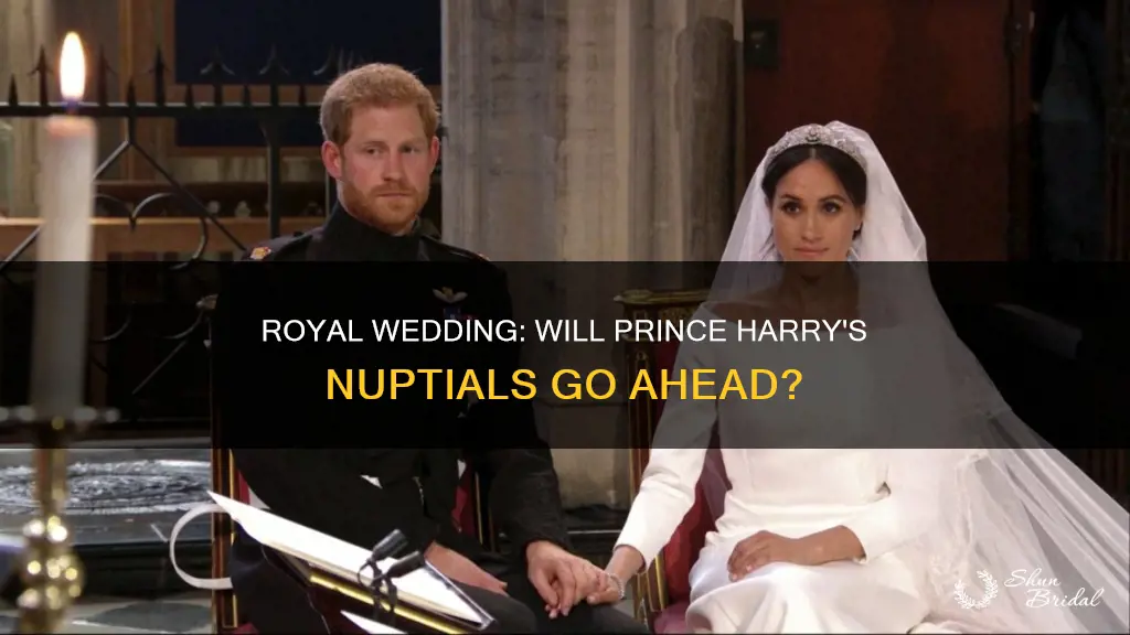 will the wedding of prince hrry ve called off