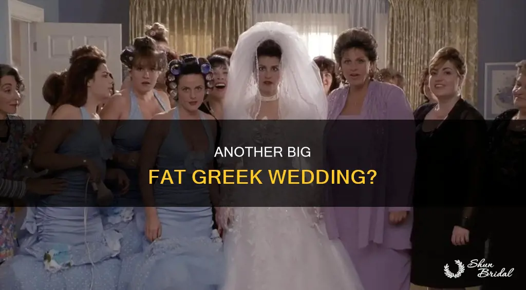 will there be a 3rd big fat greek wedding