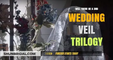 Anticipating a Third Wedding Veil Trilogy: What Fans Need to Know