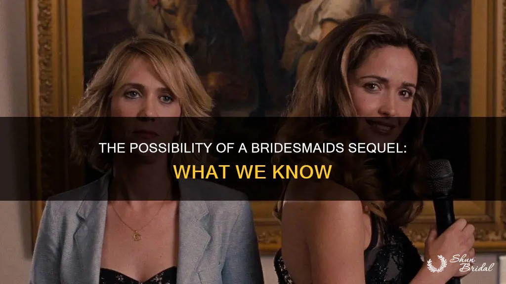 will there be a bridesmaids 2