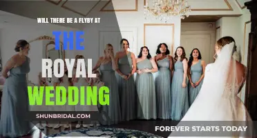 Royal Wedding Flyby: Will Tradition Take Flight at the Ceremony?