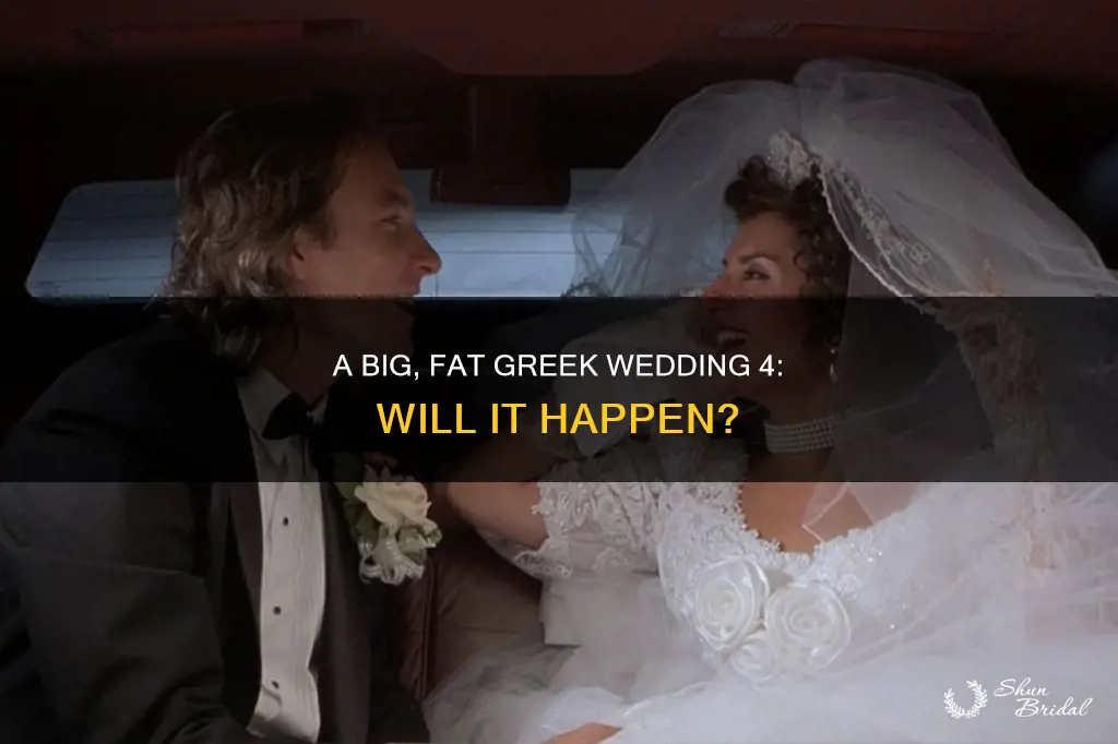 will there be a my big fat greek wedding 4