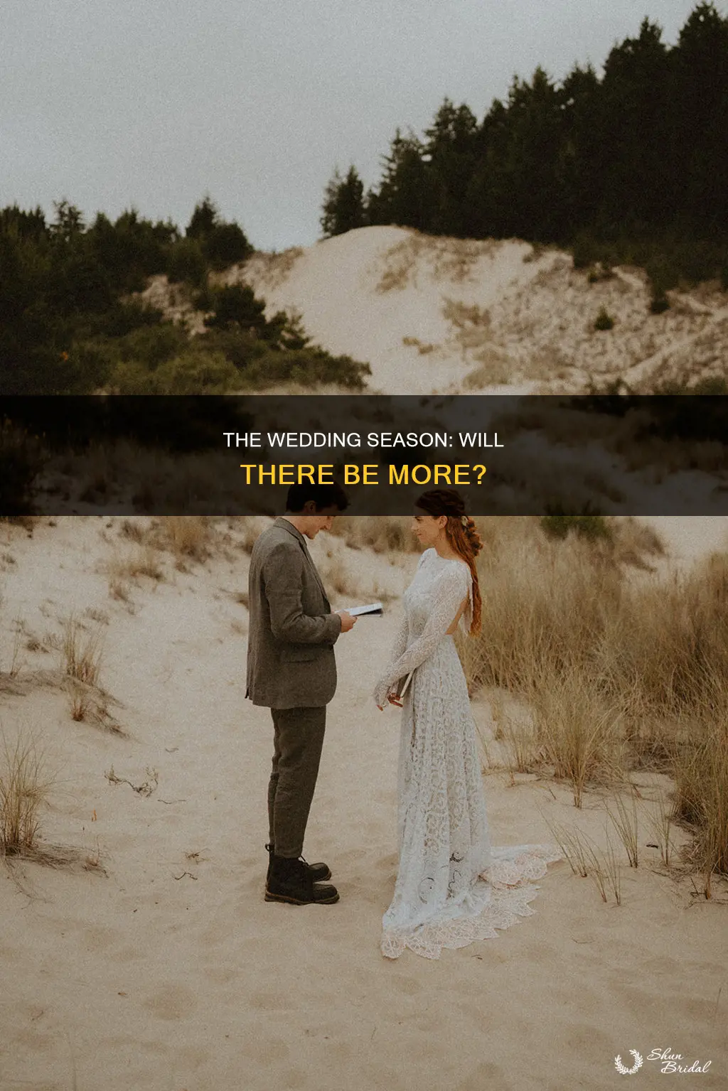 will there be a season 2 of the wedding season