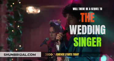 The Wedding Singer: What's Next?