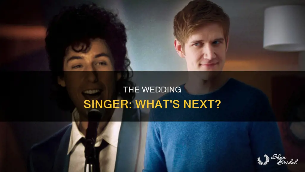 will there be a sequel to the wedding singer