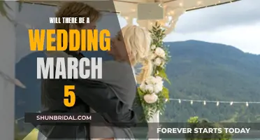 Wedding March: Another Sequel?