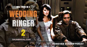 Wedding Ringer 2: A Sequel in the Works?