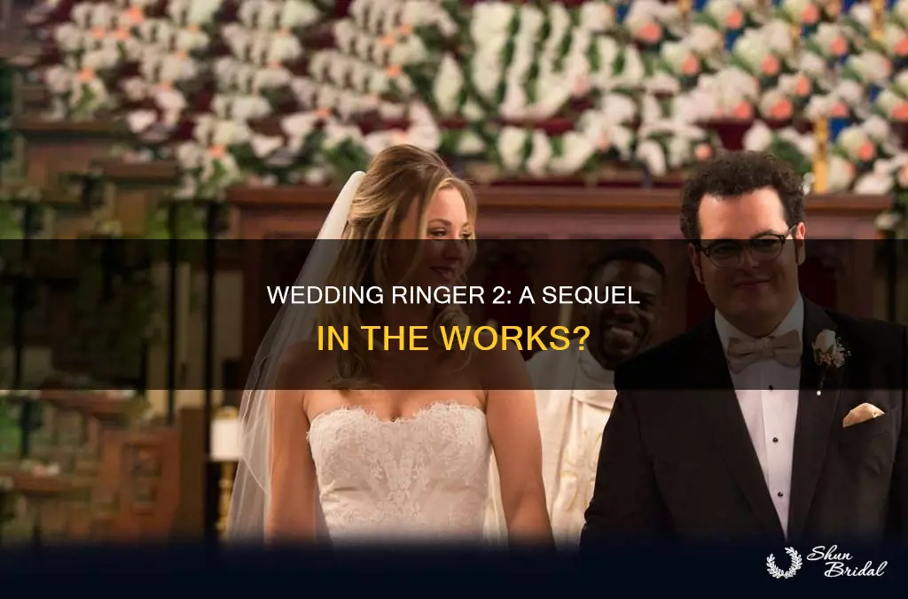 will there be a wedding ringer 2