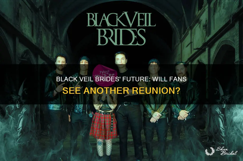 will there be another black veil brides