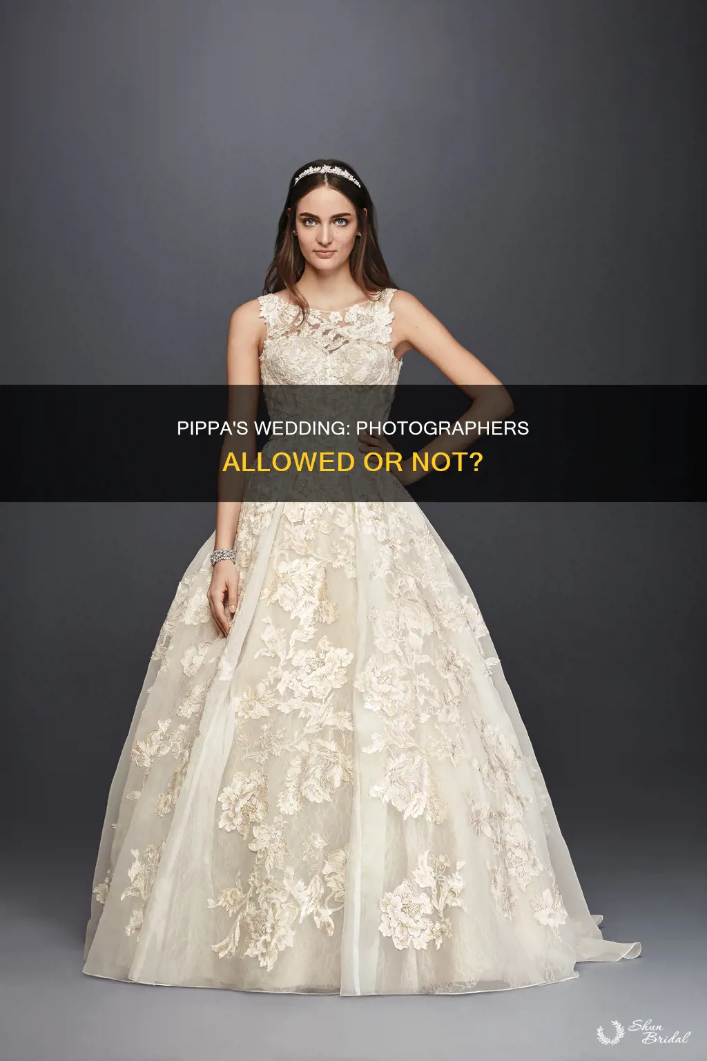 will there be photographers at pippa