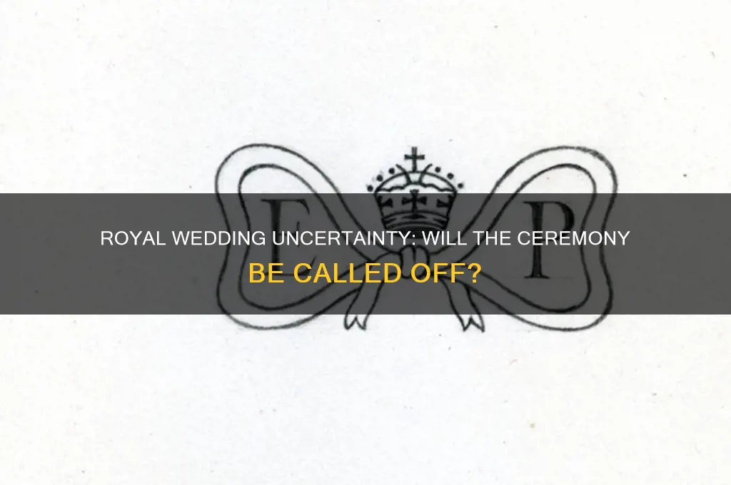 will they cancel the royal wedding