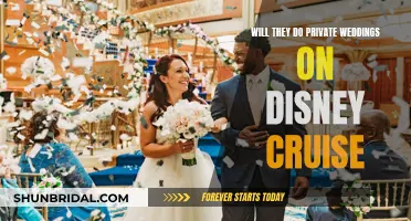 Disney Cruise Weddings: Private Ceremonies at Sea