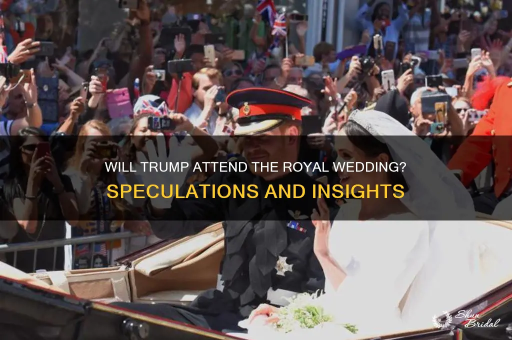 will trump attend the royal wedding