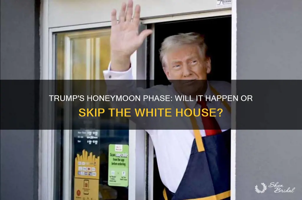 will trump have a honeymoon phase