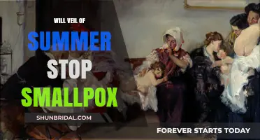 Veil of Summer's Impact: Can It Halt Smallpox Spread?