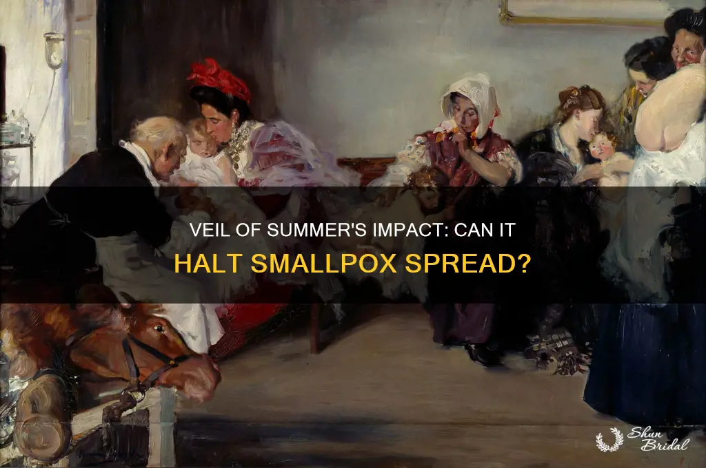 will veil of summer stop smallpox