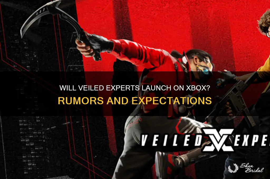 will veiled experts be on xbox