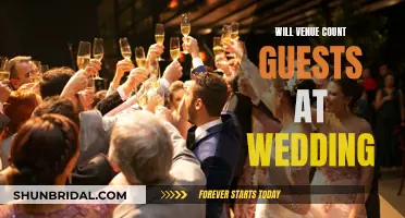 Venue Guest-Counting: Who's Responsible?