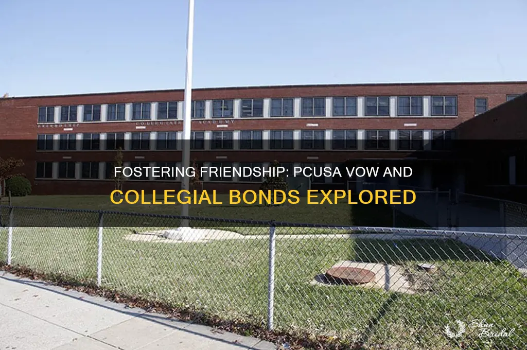 will you be a friend among colleagues pcusa vow