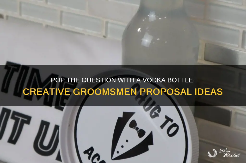 will you be by groomsmen proposal for vodka bottle