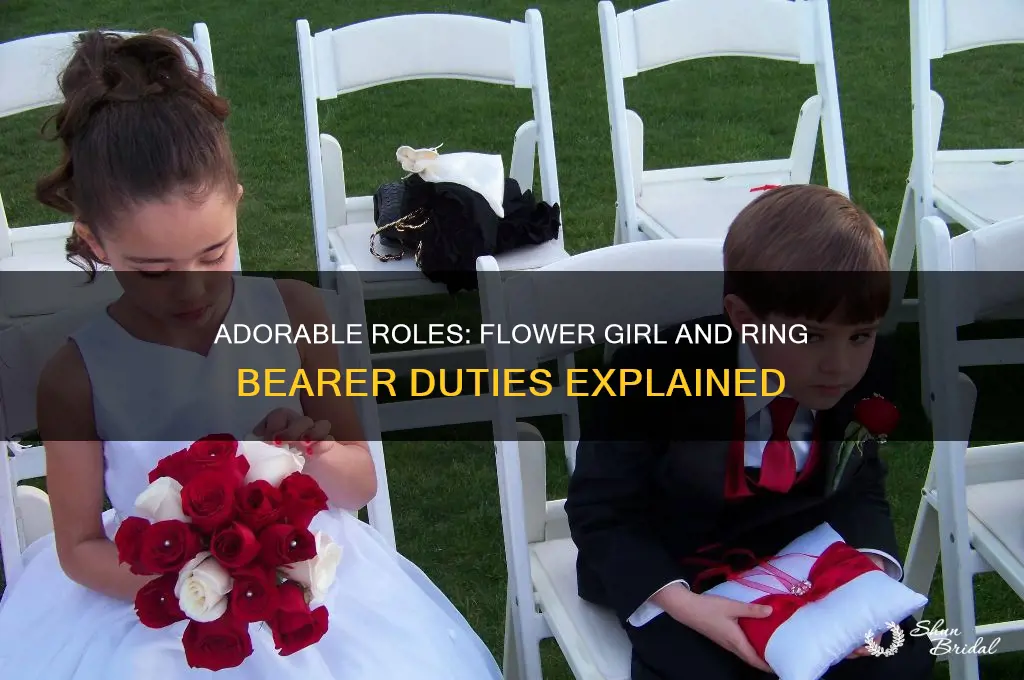 will you be my flower girl ring bearer