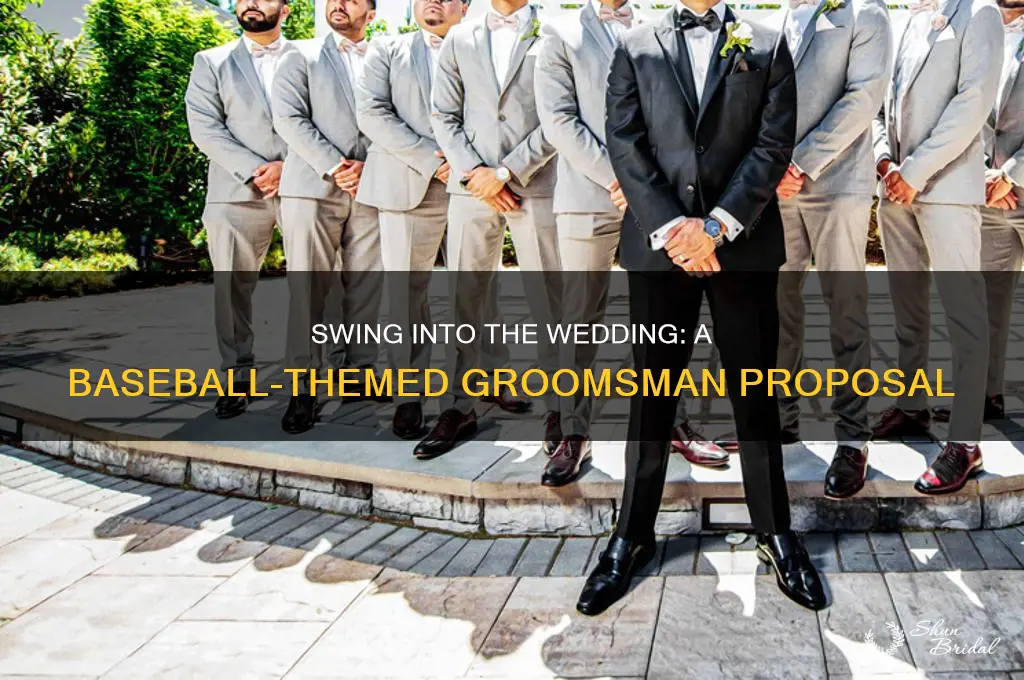 will you be my groomsman baseball