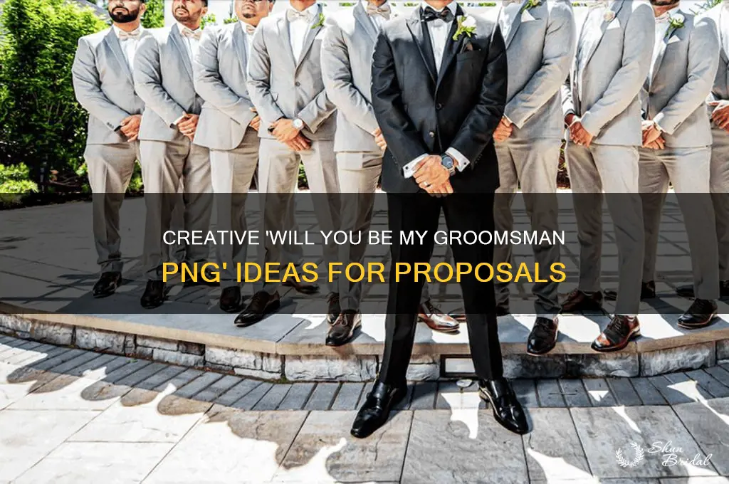 will you be my groomsman png