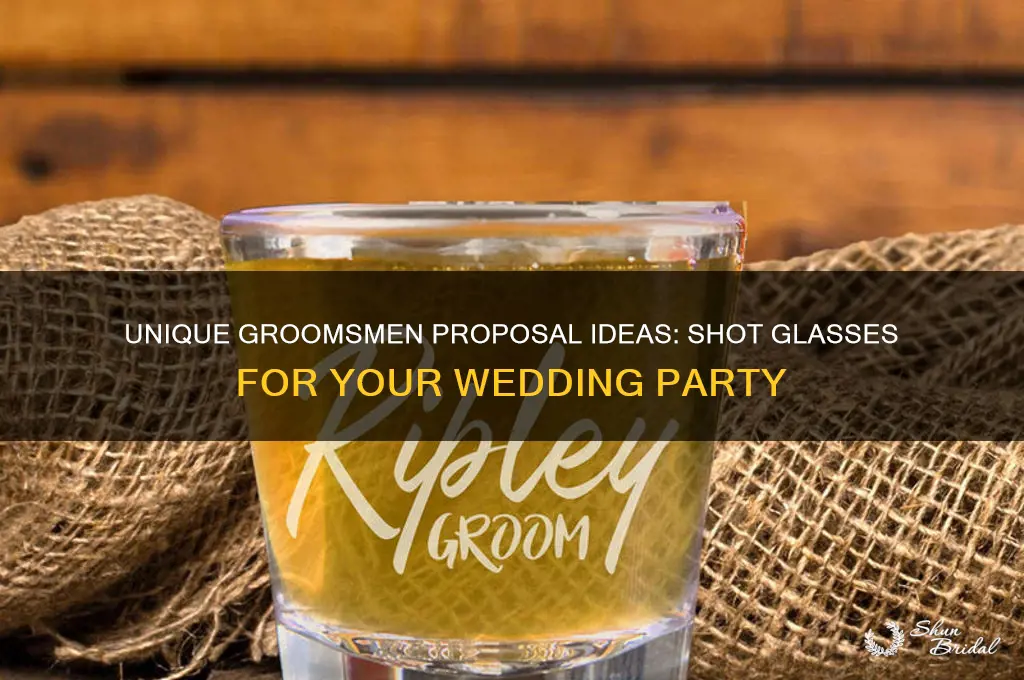 will you be my groomsmen shot glasses