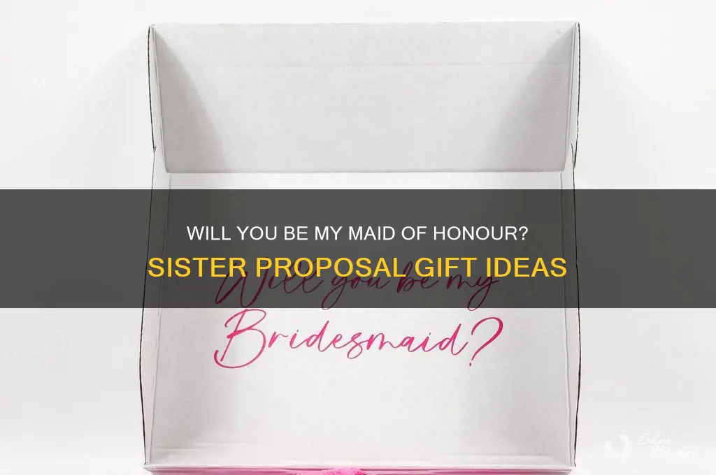 will you be my maid of honour sister gift